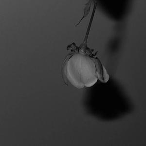 泰康之家网站我的姑娘妈亲鸡巴
